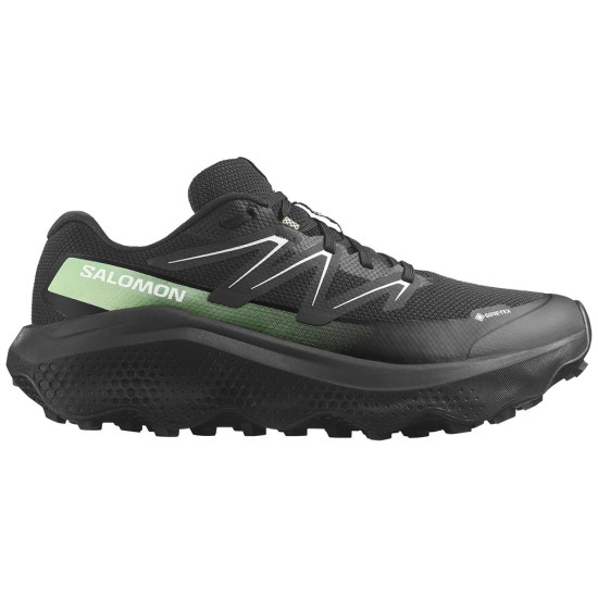 Salomon Ultra Flow 2 GTX